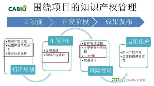 企业知识产权管理与专利信息利用 企业管理咨询的新战略视角